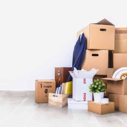 Don’t Get Down about Downsizing: A Senior’s Shifting Real Estate Guide to declutter and keep your most cherished memories.